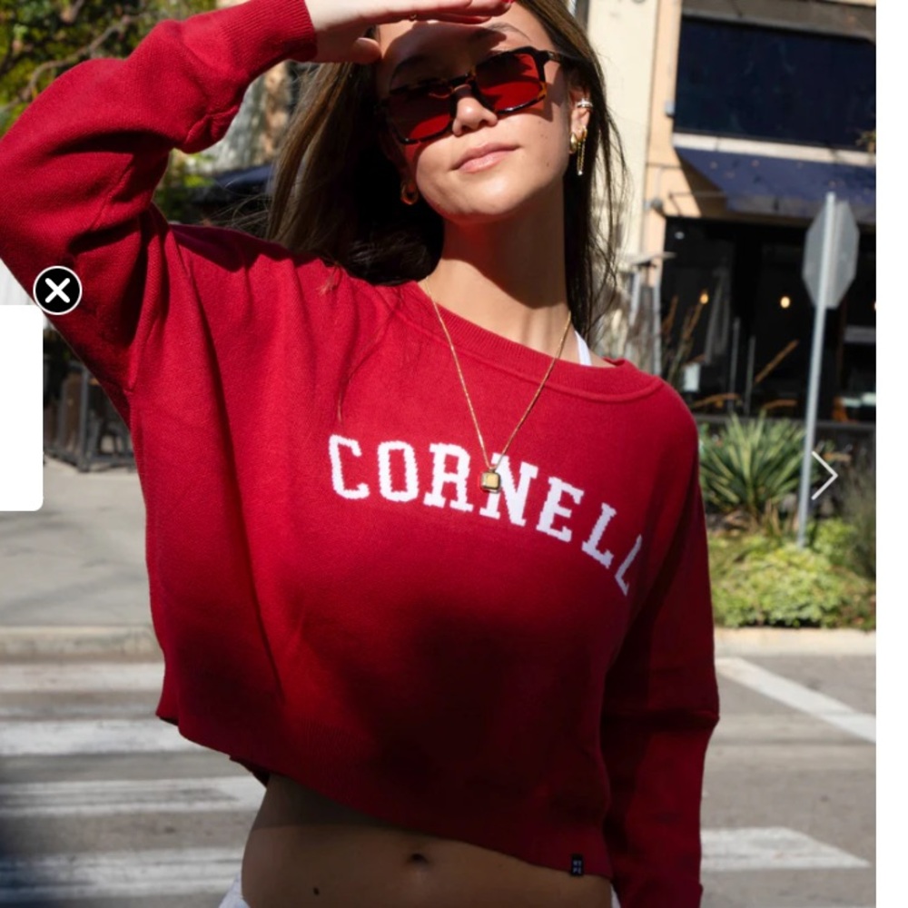 Hype and Vice Cornell University Ivy Knitted Sweater.